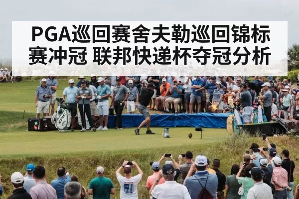 PGA巡回赛舍夫勒巡回锦标赛冲冠 联邦快递杯夺冠分析